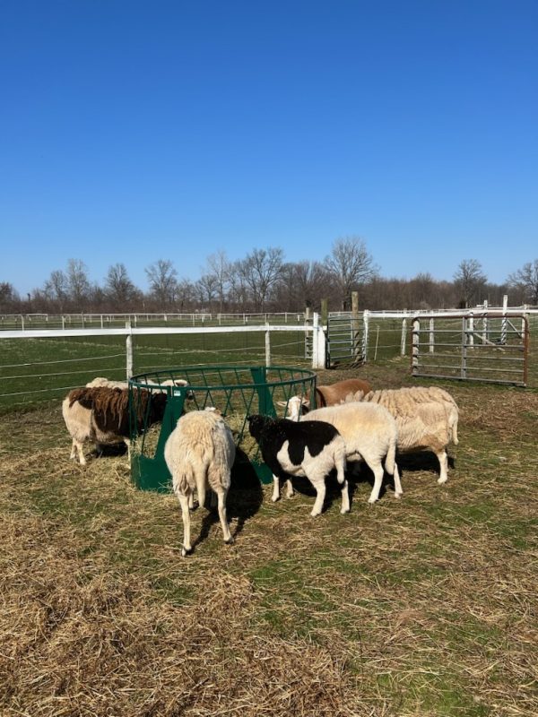 Round Bale Feeder – Slanted Bar Style- LK
