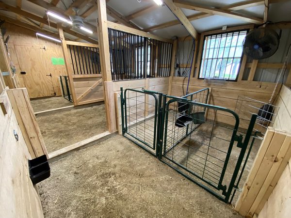 Lakeand- 3ft or 4ft Walk-Through Man Door in farm