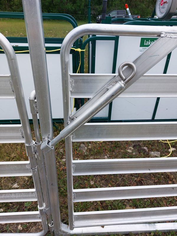 Portable Panel for cattle handling