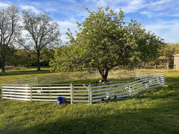 Lakeland- 3ft Aluminum Easy Man Gate