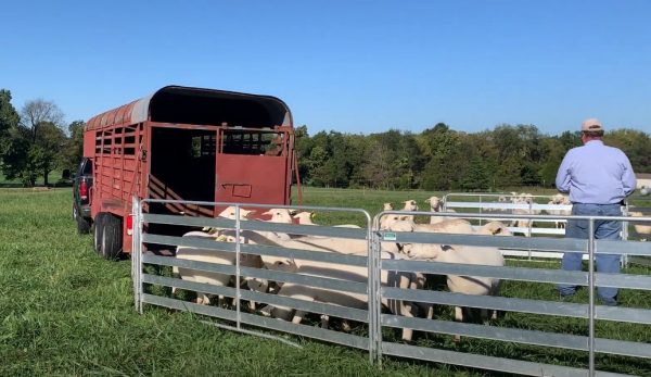 Aluminum Easy Panel in farm