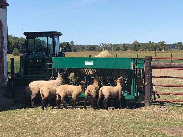 Round & Square Bale Feeder in Farm
