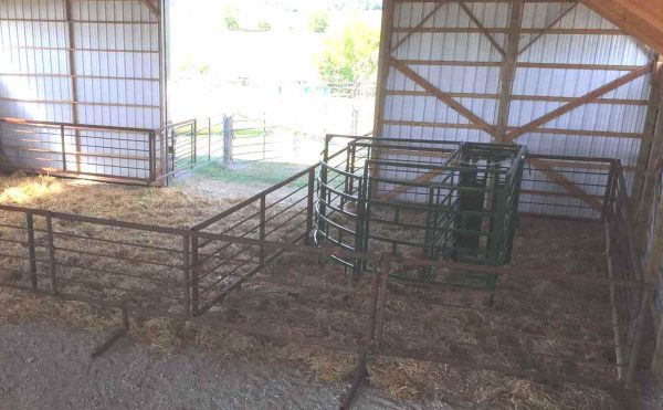 Half Circle Calving Station- Lakeland