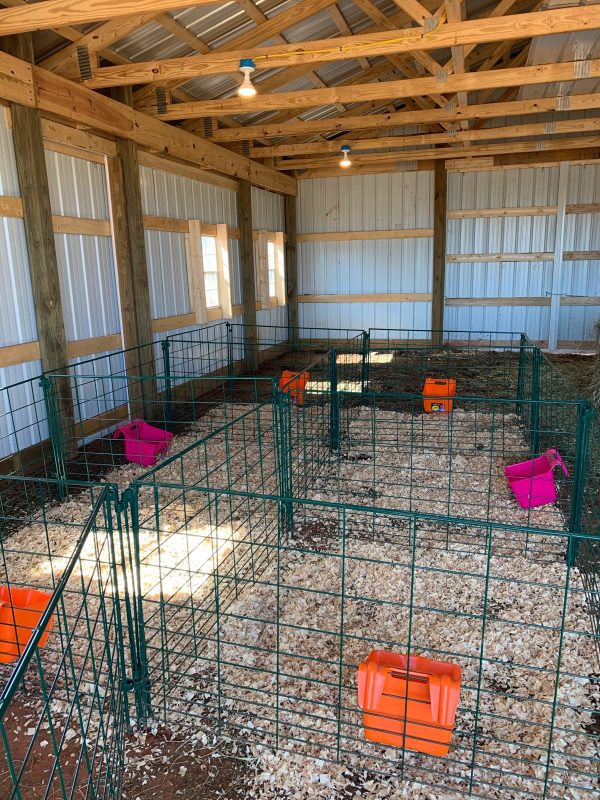 Lambing & Kidding Pen Panels- Lakeland