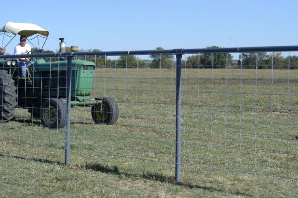 50" Wire Mesh Cattle Panels in Field