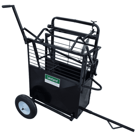 Small Portable Calf Chute with Dial Scale