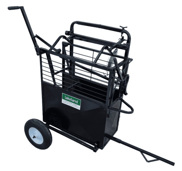 Small Portable Calf Chute with Dial Scale