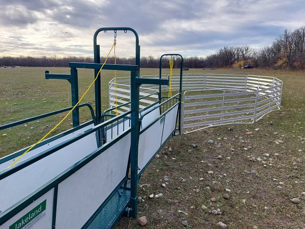 Portable Easy Handler for Sheep and Goats full extented side view