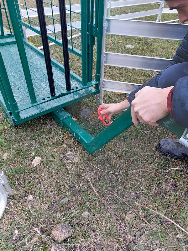Portable Easy Handler for Sheep and Goats- lakeland