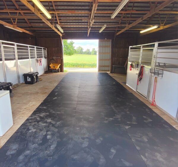 Best Portable Competition Horse Stalls