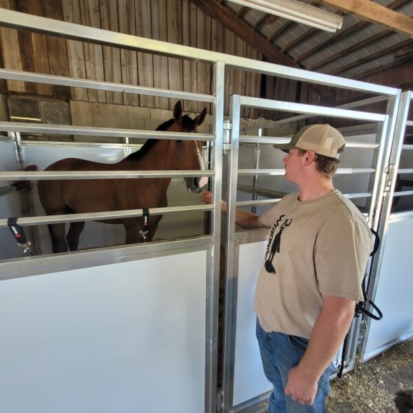 Horse Stalls