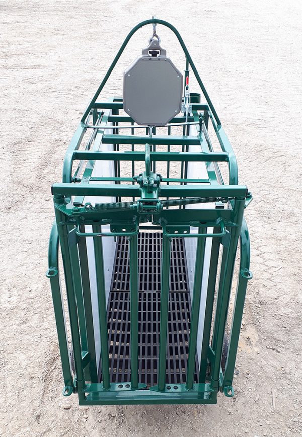 LK- Sheep & Goat Weigh Scale with Self-Catch Headgate