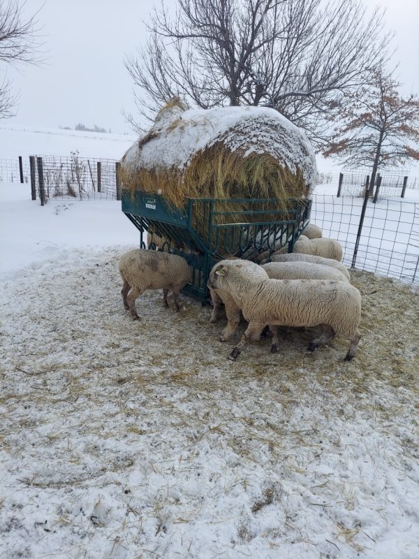 Round Bale Feeder- Lakeland
