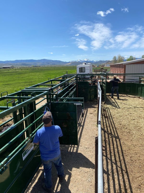 17ft Adjustable Alley Section in Farm