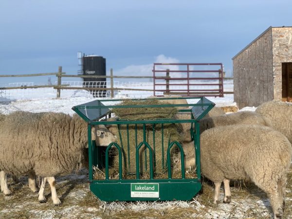 Tombstone Style Small Bale Feeder by lakeland