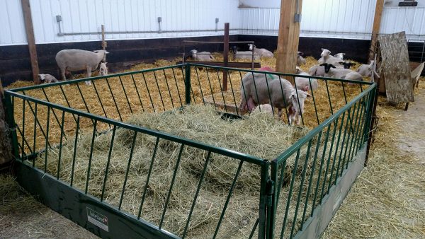 Lakeland- Slant Bar Manger/Feed panel for sheep