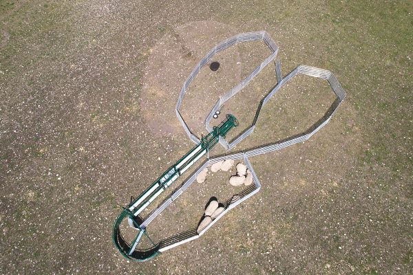 SG400- Sheep & Goat Handling System