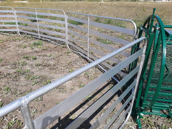SG50 – Sheep & Goat Handling System Product