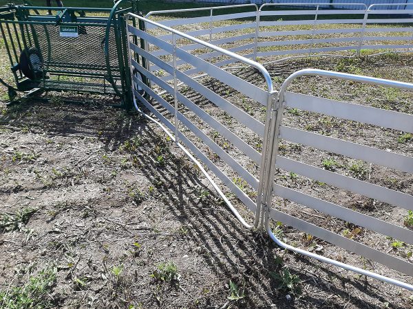 SG50 – Sheep & Goat Handling System Product By LK
