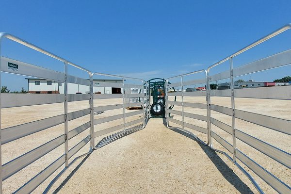 Lakeland- SG50 – Sheep & Goat Handling System