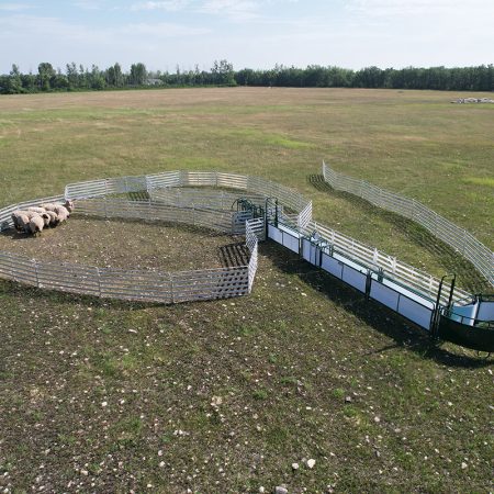 Sheep & Goat Handling System SG500