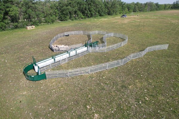 Lakeland- SG500- Sheep & Goat Handling System