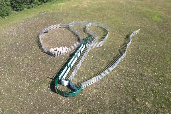 SG500- Sheep & Goat Handling System- Lakelandfarmandranch