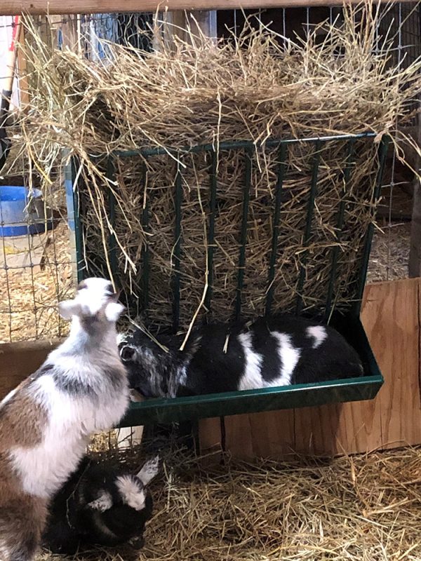 Hanging Hay Rack with Trough product