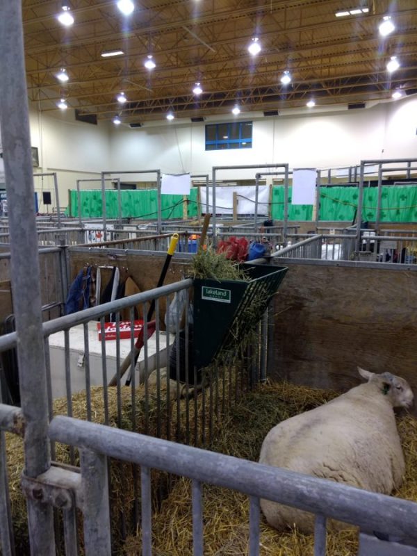 Lakeland- Small Hay Rack