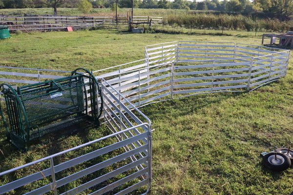 Shepherdess Starter Package- Lakeland