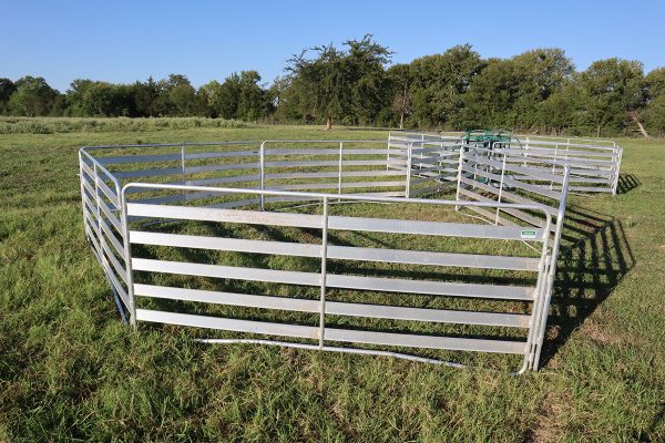 Shepherdess Starter Package- Lakelandfarmandranch