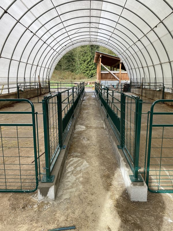 Tombstone Feed Front for Sheep- Lakelandfarmsandranch