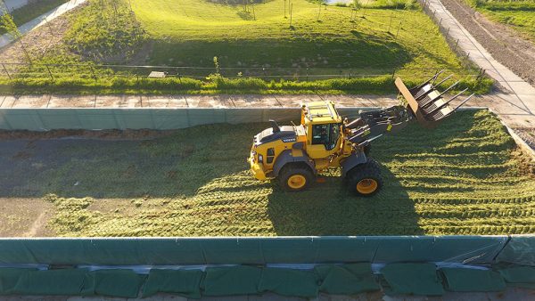 JCB in farm