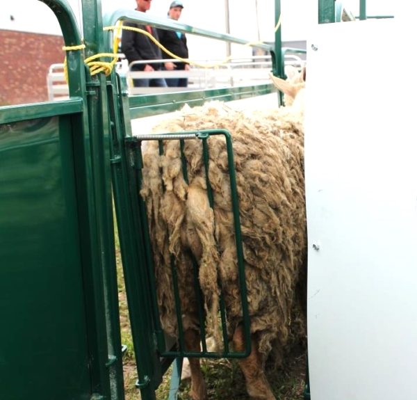 Anti-Backup Gate in farm