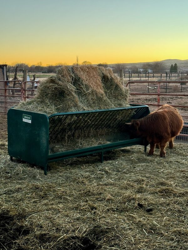 Square Bale Hay and Grain Feeder in Green Color by Lk
