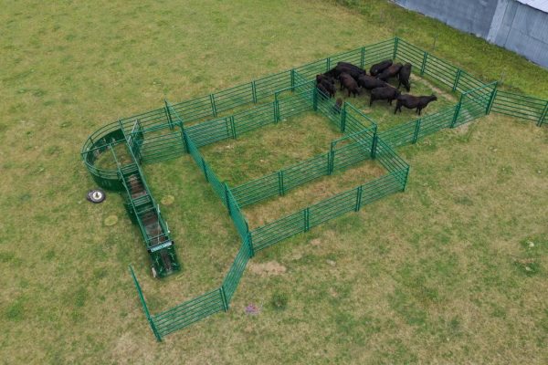 10ft Powder Coated Bowgate in farm