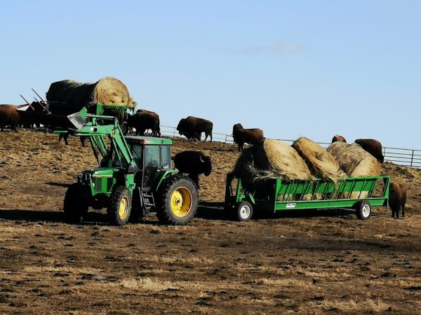 Econo Zero Grazer Feeder Wagon in field