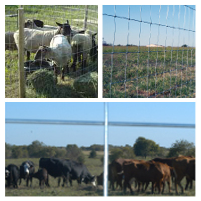 Wire Fencing Products- Lakeland