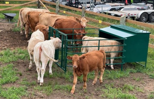 Small Calf Creep Feeder- 15 Bushel by Lakeland