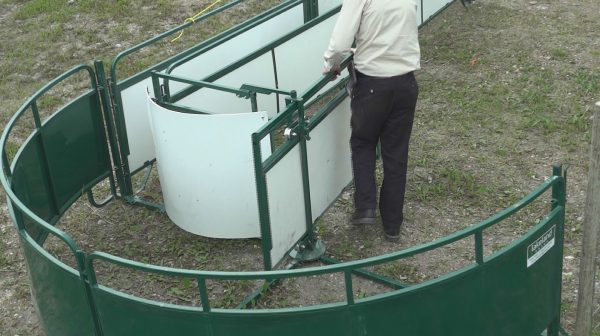 Lakelandfarm- Working Chute and Crowding Tub