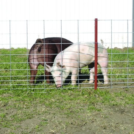 34" Wire Mesh Hog Panels