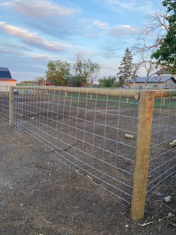 50" Wire Mesh Cattle Panels- Lakeland