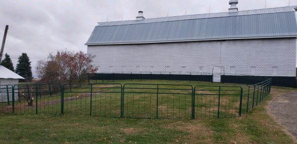 48" High-Wire Mesh Divider Panel/Gate in farm