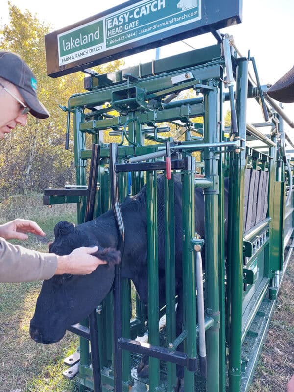 Easy Catch Squeeze Chute